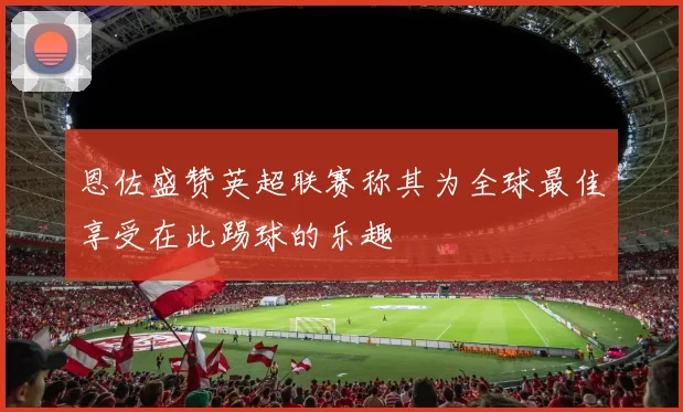 恩佐盛赞英超联赛称其为全球最佳享受在此踢球的乐趣