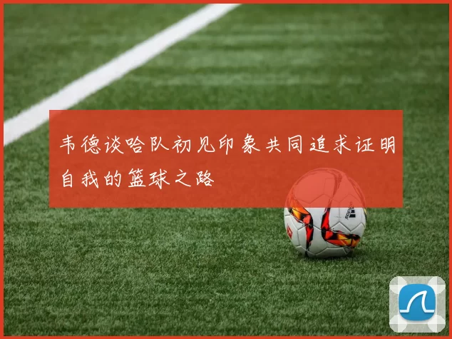 韦德谈哈队初见印象共同追求证明自我的篮球之路