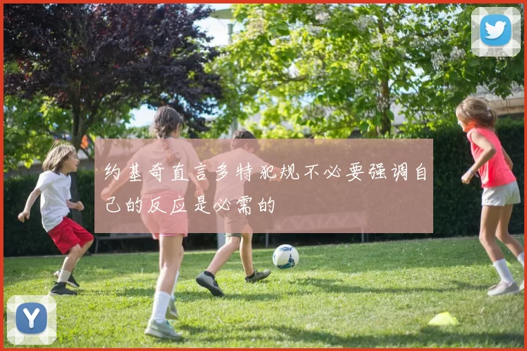 约基奇直言多特犯规不必要强调自己的反应是必需的